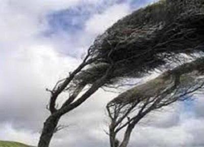 تندباد استان مرکزی را درنوردید
