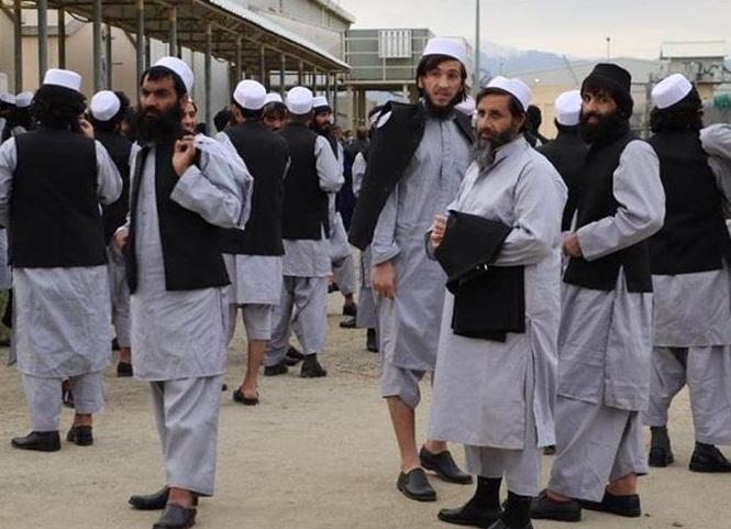 مخالفت فرانسه با آزادی زندانیان طالبان مخالفت فرانسه با آزادی زندانیان طالبان