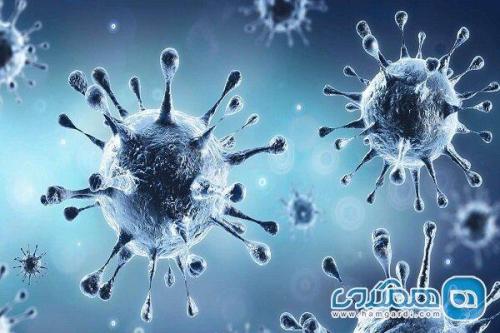 کروناویروس بالغ بر یک ماه در گرد و غبار منزل باقی می ماند