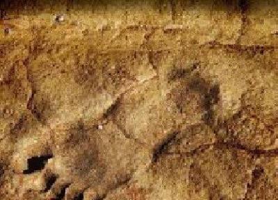 ردپای 23 هزار ساله تاریخ آمریکا را بازنویسی کرد!